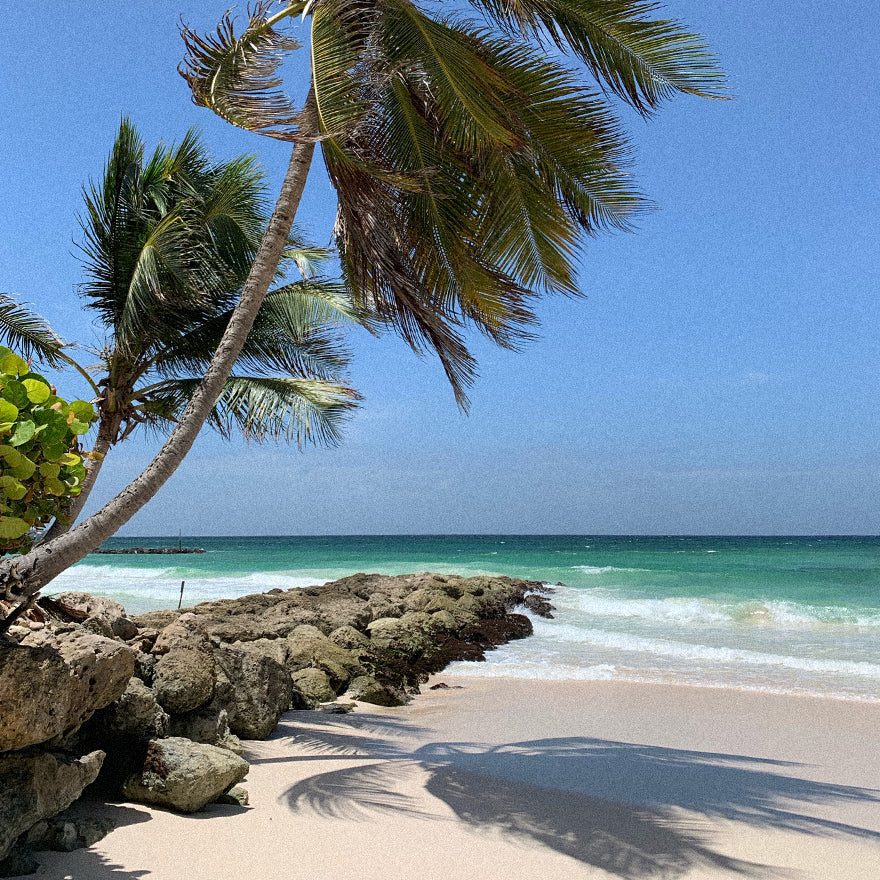 Solento Travel Guide: Barbados